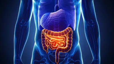 How the Liver Impacts Hormonal Balance and What You Can Do
