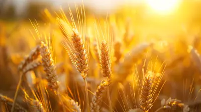 The Science Behind Gluten Intolerance And Sensitivity