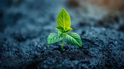 Turning Mundane Tasks Into Mindfulness Opportunities