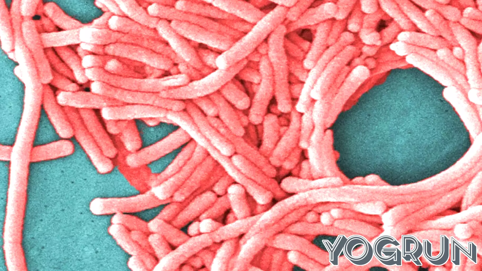 2nd death reported in Upper East Side Legionnaires' disease cluster, health officials say