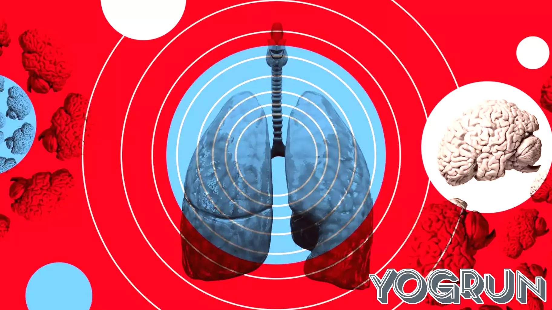 Eight Distinct Patterns of Long COVID Symptoms Identified