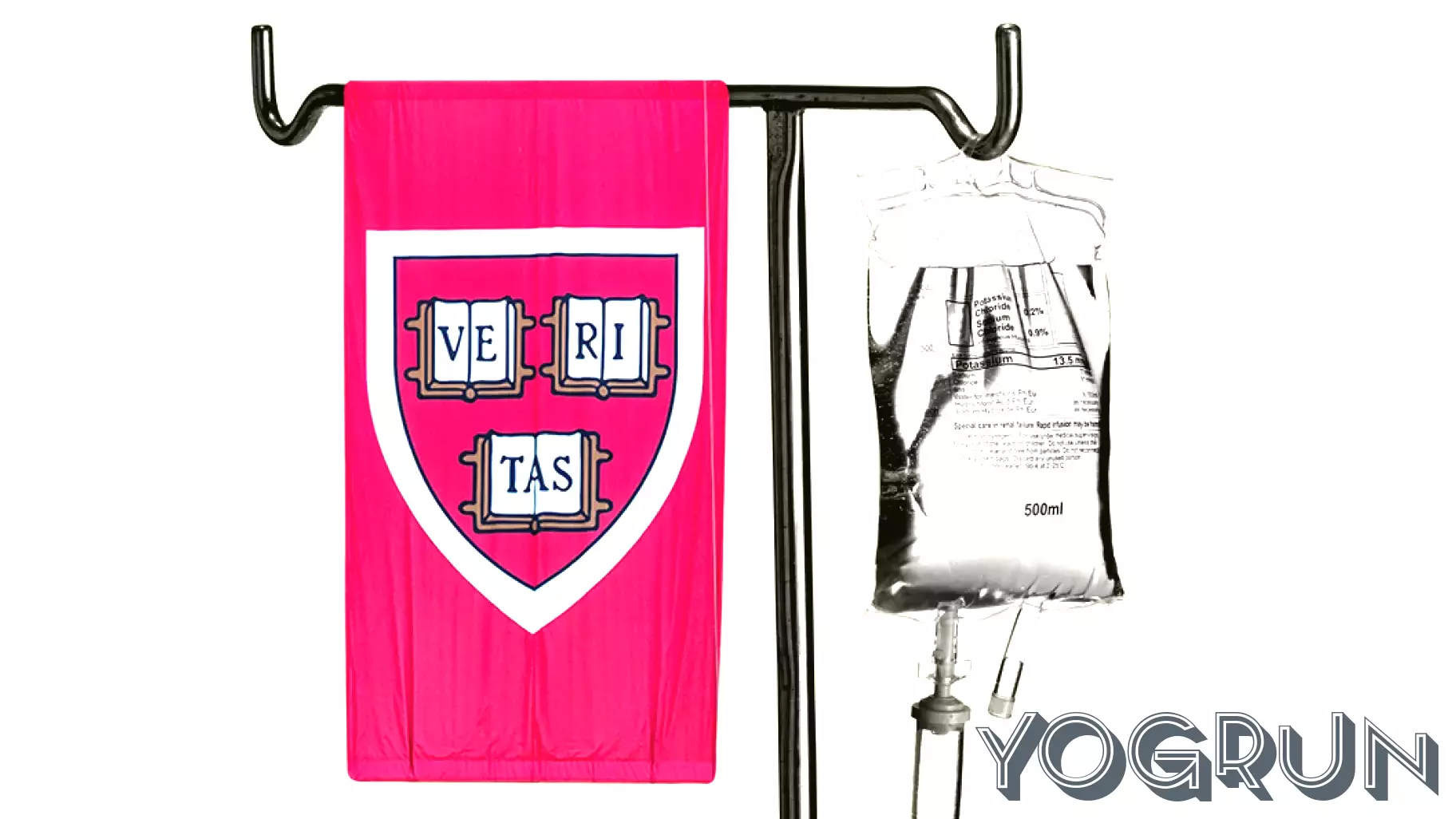 Harvard's Public Health School Faces Significant Challenges