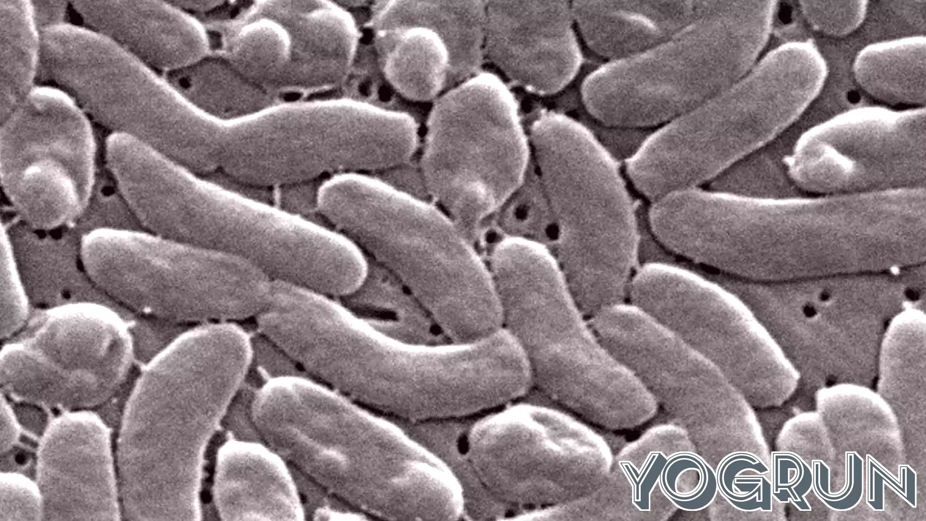 Louisiana health officials warn beachgoers of flesh-eating bacteria risk