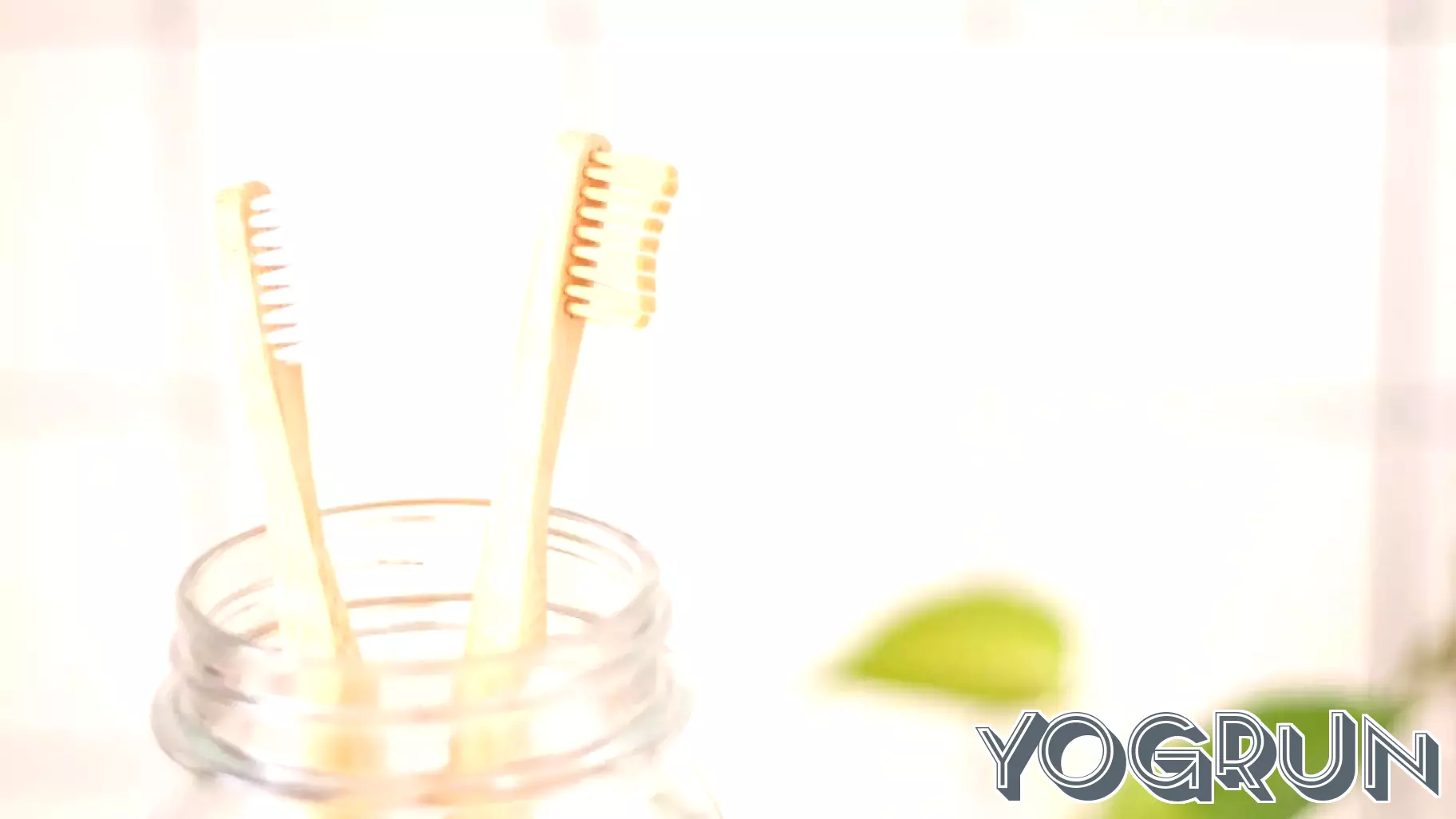 People with disabilities often experience poorer oral health—training could drive improved care