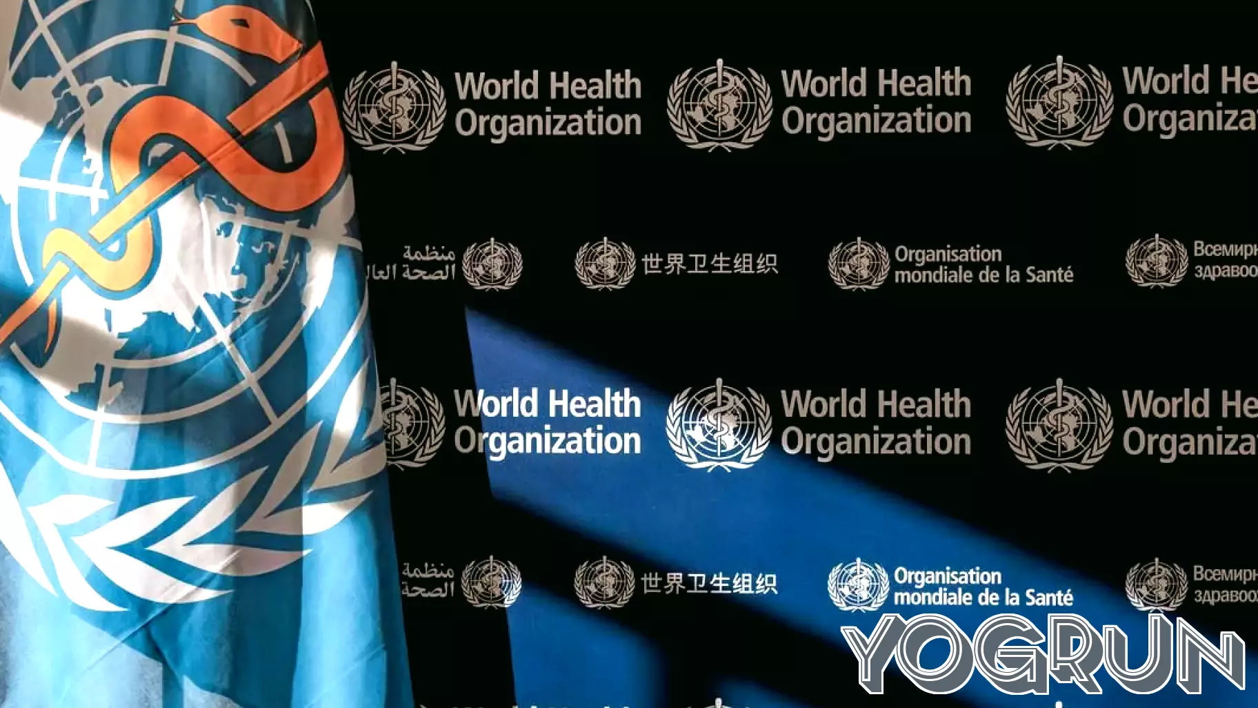 WHO Taps Dr Vanessa Kerry to Lead Health Resilience Efforts