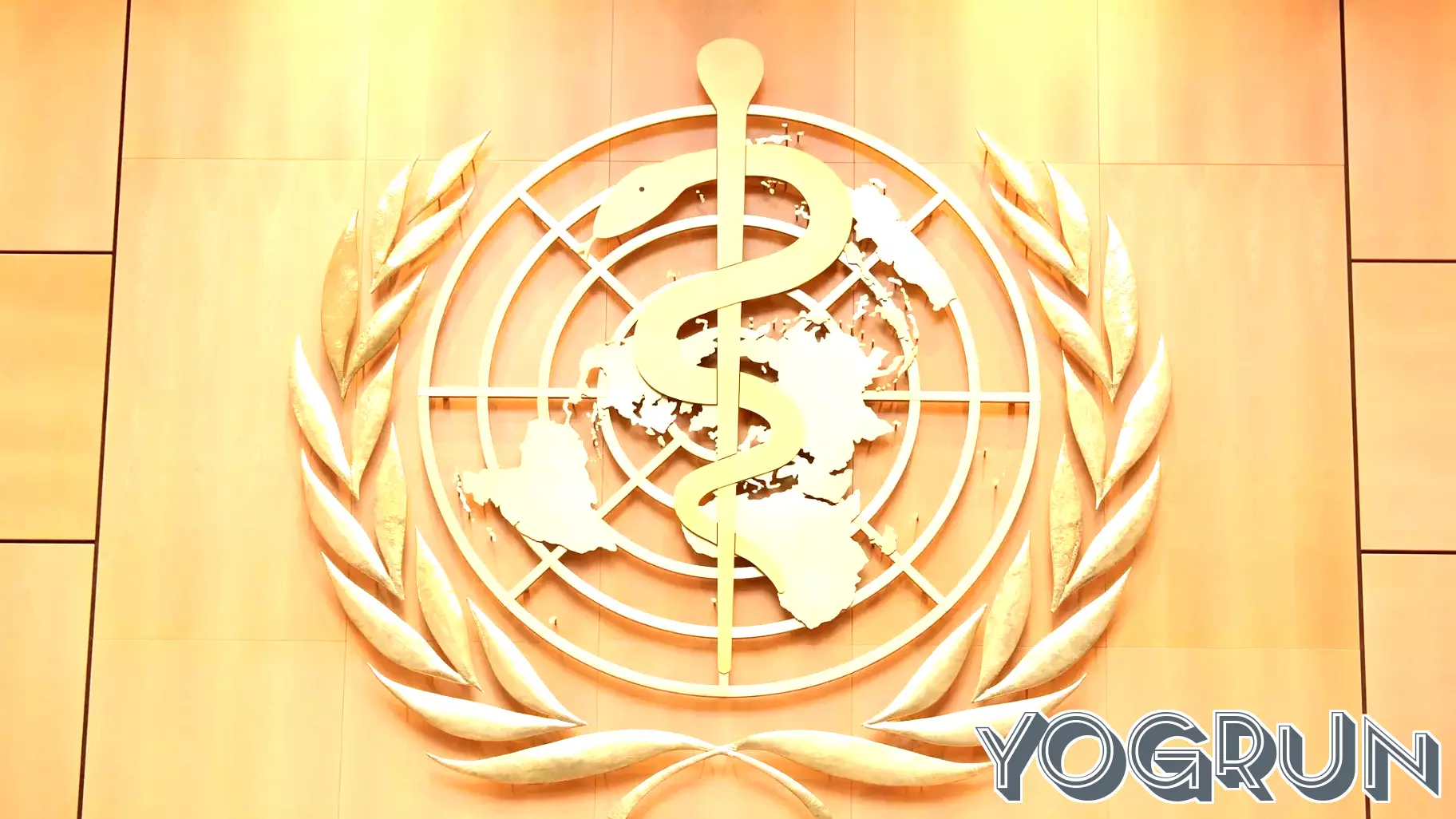 WHO's New Pandemic Agreement: A Step Towards Equity in Global Health