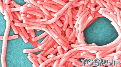 2nd death reported in Upper East Side Legionnaires' disease cluster, health officials say