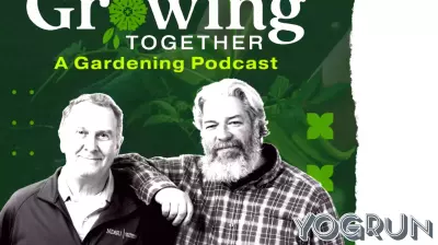 Assessing Tree and Shrub Health This Fall