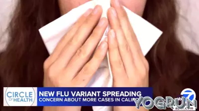Concerns Rise as New Flu Variant Emerges in Southern California