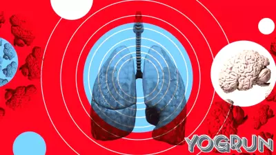 Eight Distinct Patterns of Long COVID Symptoms Identified