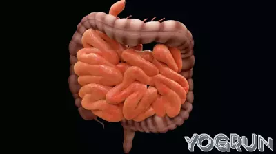 Fecal Microbiota Transplants: A Double-Edged Sword in Medical Treatment