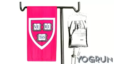 Harvard's Public Health School Faces Significant Challenges