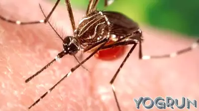 Health Officials Advise Caution for Ixchiq Users Over Age 60