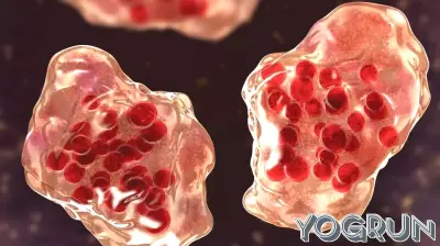Ingham County Health Department Issues Guidance on Measles Outbreak