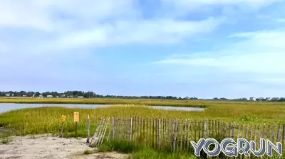 Nature Conservancy award supports URI research on salt marsh health