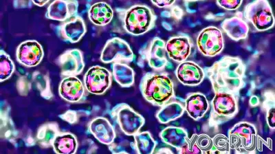 New measles cases associated with metro Atlanta day care outbreak confirmed, health officials say