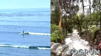 Ocean Health Alert: Storm Runoff Leads to Bacterial Concerns