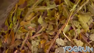 San Francisco Reports First Fatal Overdose Linked to MGM-15