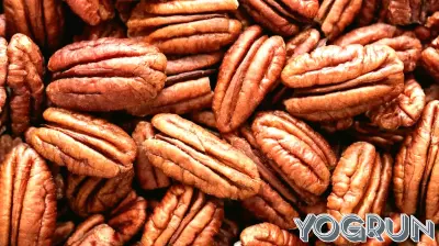The Health Benefits of Pecans: Insights from Clinical Research