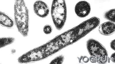Two stricken with Legionnaires Disease on Upper East Side, cluster investigated: NYC health officials